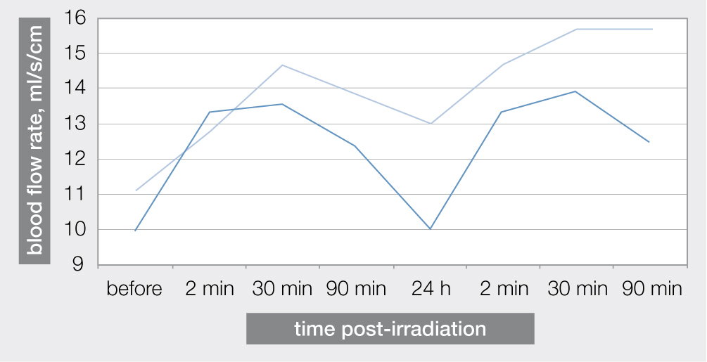 Blutflussrate